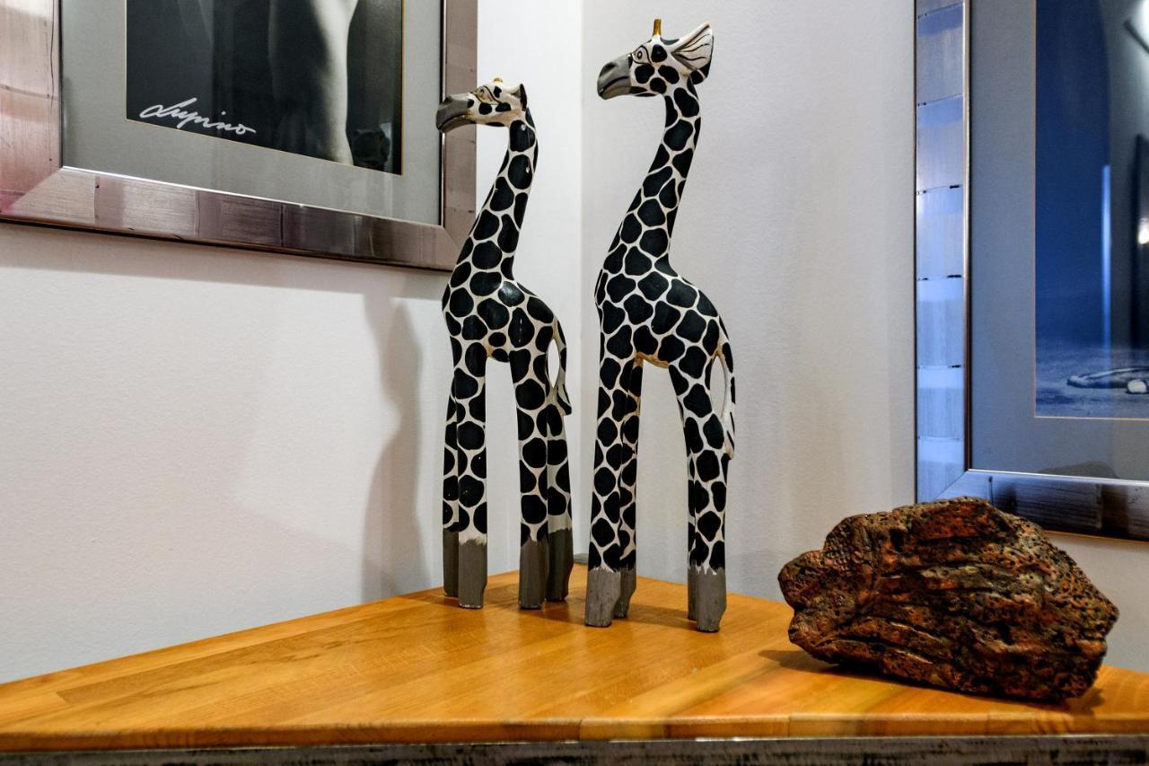 Apartman Lupino's Gallery - Old Town Zadar